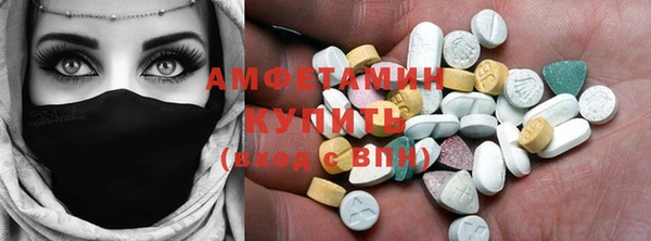 ПСИЛОЦИБИНОВЫЕ ГРИБЫ Рославль