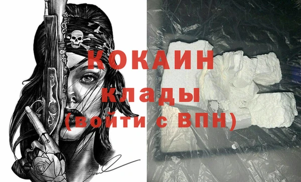 ПСИЛОЦИБИНОВЫЕ ГРИБЫ Рославль