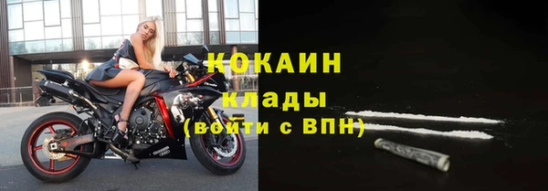 ПСИЛОЦИБИНОВЫЕ ГРИБЫ Рославль