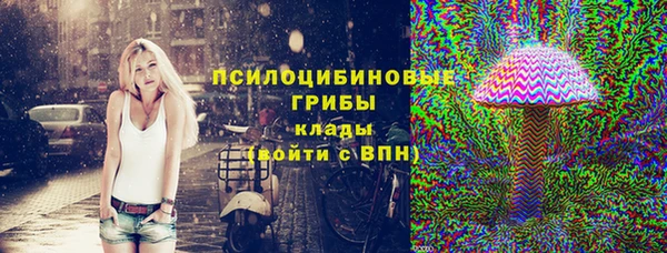 ПСИЛОЦИБИНОВЫЕ ГРИБЫ Рославль
