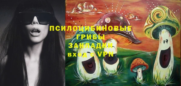 мдпв Россошь